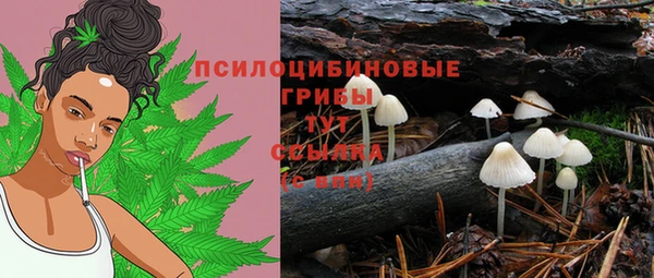 МДМА Белокуриха