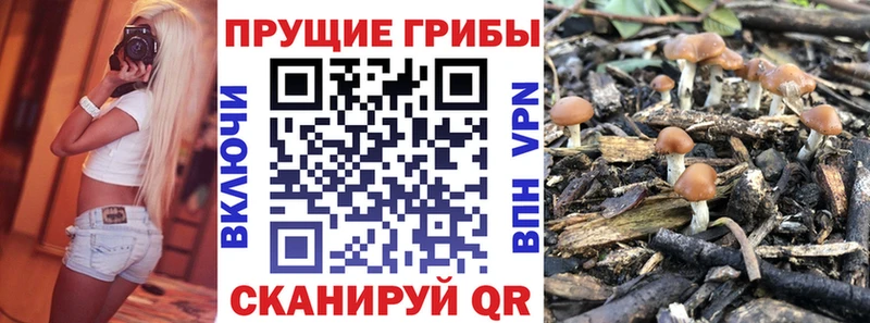 Псилоцибиновые грибы GOLDEN TEACHER  Кузнецк 
